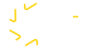 SRT Footer Logo